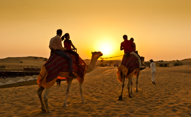 66fe605328ede03fd124a3e0_Evening Desert Safari