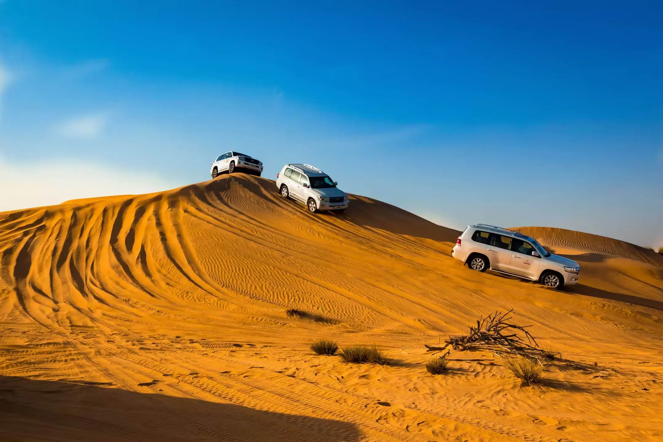 d8urh8zzjhuxnjc968p8fy97eduh_Dune_Bashing_Dubai_62d176074c-1 (1)