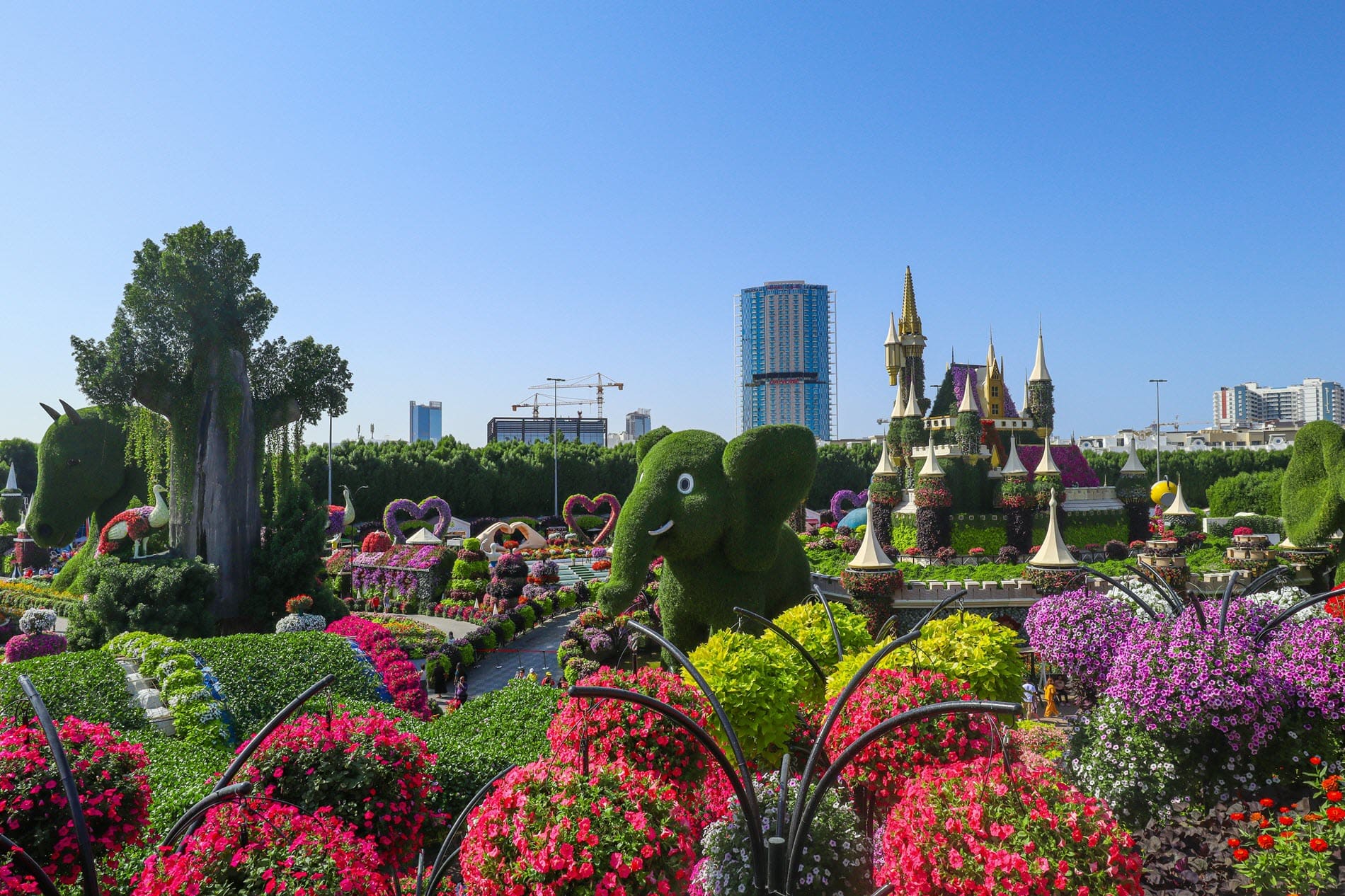 miracle garden