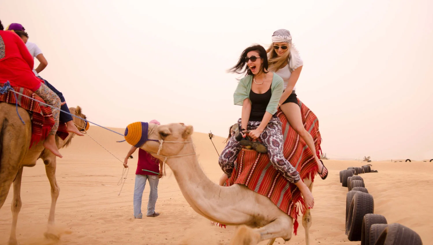 Desert safari _ Camel Ride in Dubai