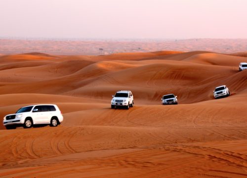 Best Morning Desert Safari Dubai Deals and Packages 2026