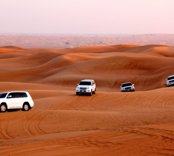 Best Arabian Adventures Desert Safari Experience in Dubai 2026